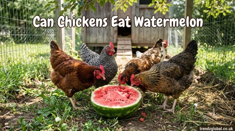 Can Chickens Eat Watermelon? A Complete Guide for Backyard Flock Owners
